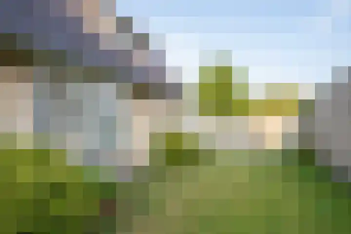 Waalderstraat 94 Den Burg thumbnail 4