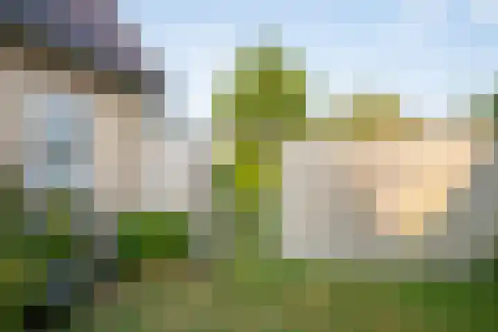 Waalderstraat 94 Den Burg thumbnail 5