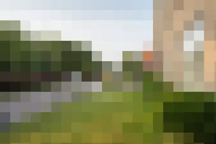 Waalderstraat 94 Den Burg thumbnail 6