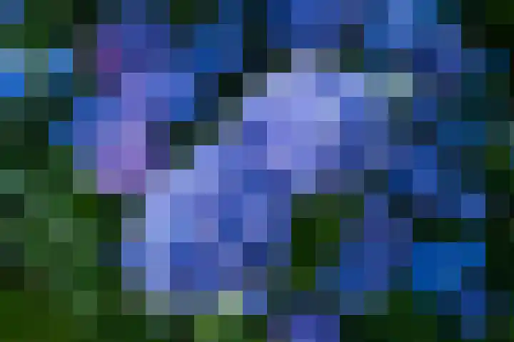 Waalderstraat 94 Den Burg thumbnail 64