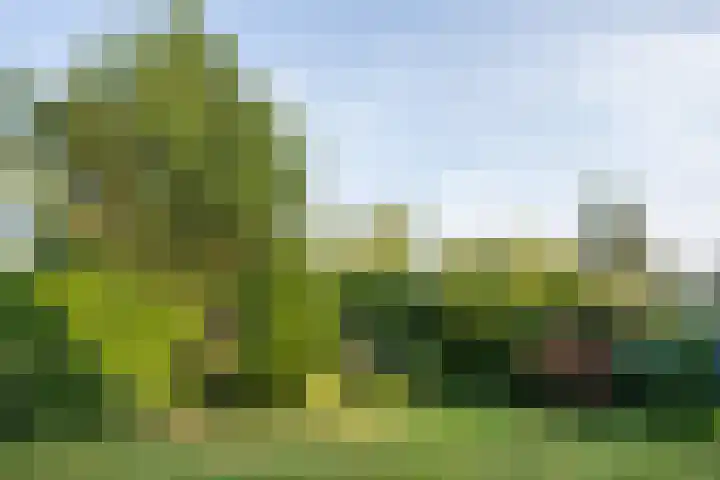 Waalderstraat 94 Den Burg thumbnail 66