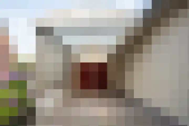 Waalderstraat 94 Den Burg thumbnail 7