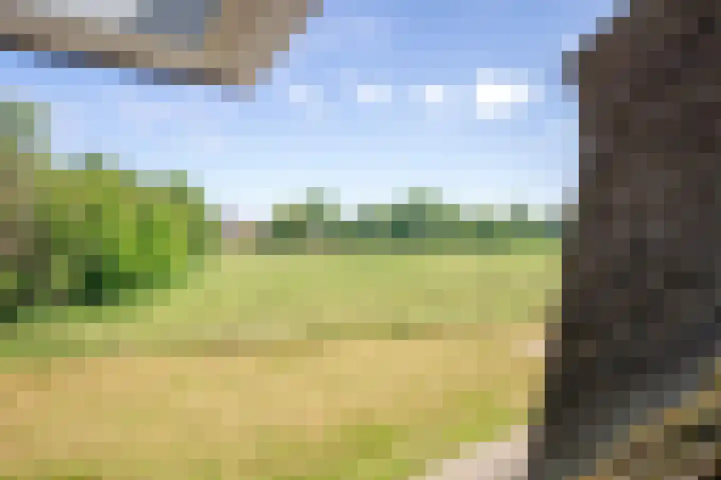 Waalderweg 112 A Den Burg thumbnail 20