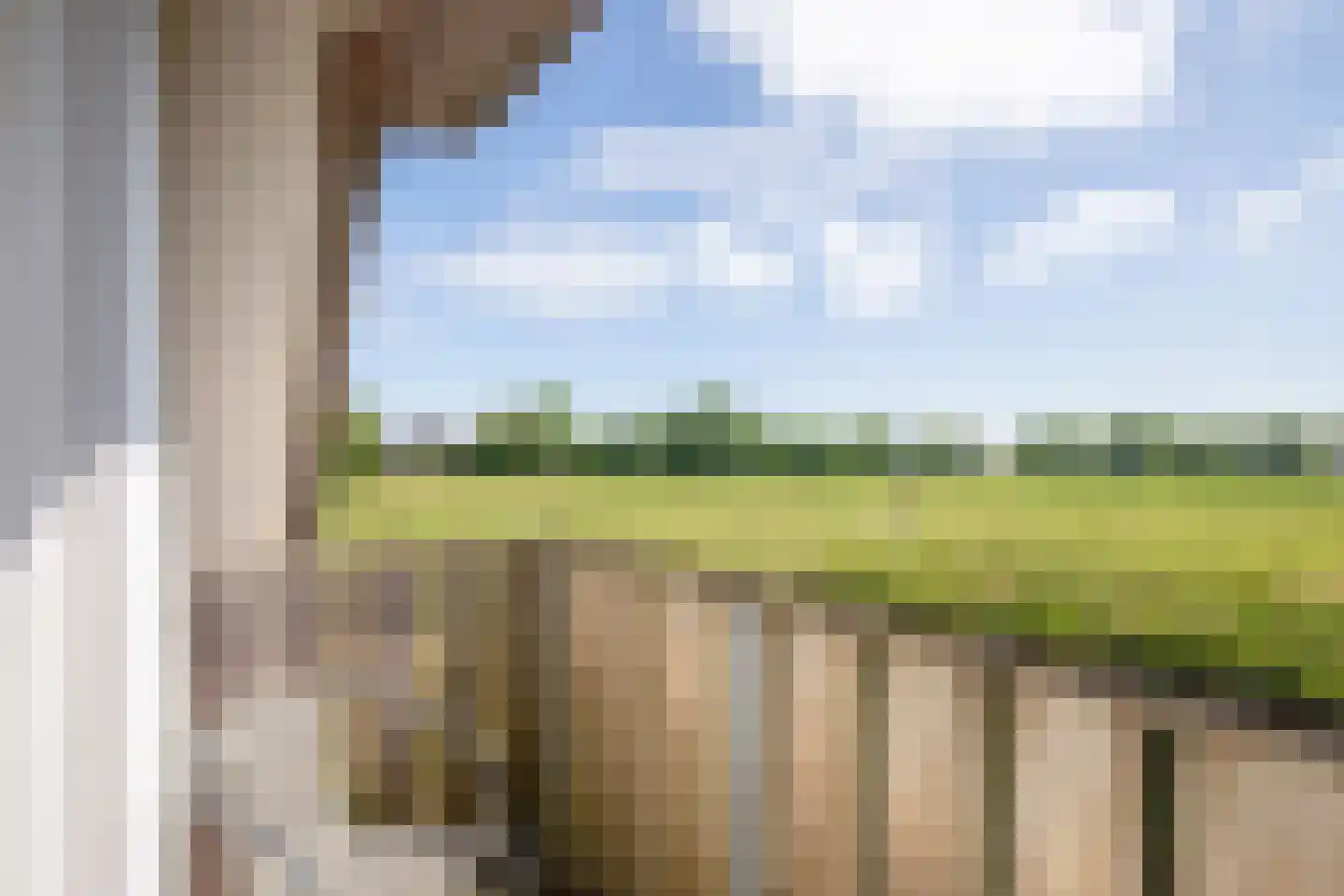 Waalderweg 112 A Den Burg thumbnail 23