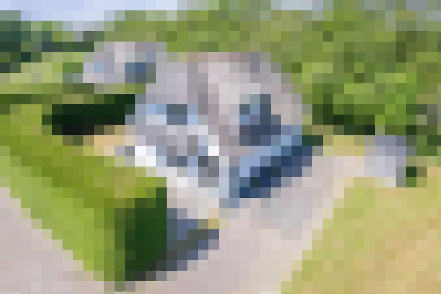 Waalderweg 112 A Den Burg thumbnail 38