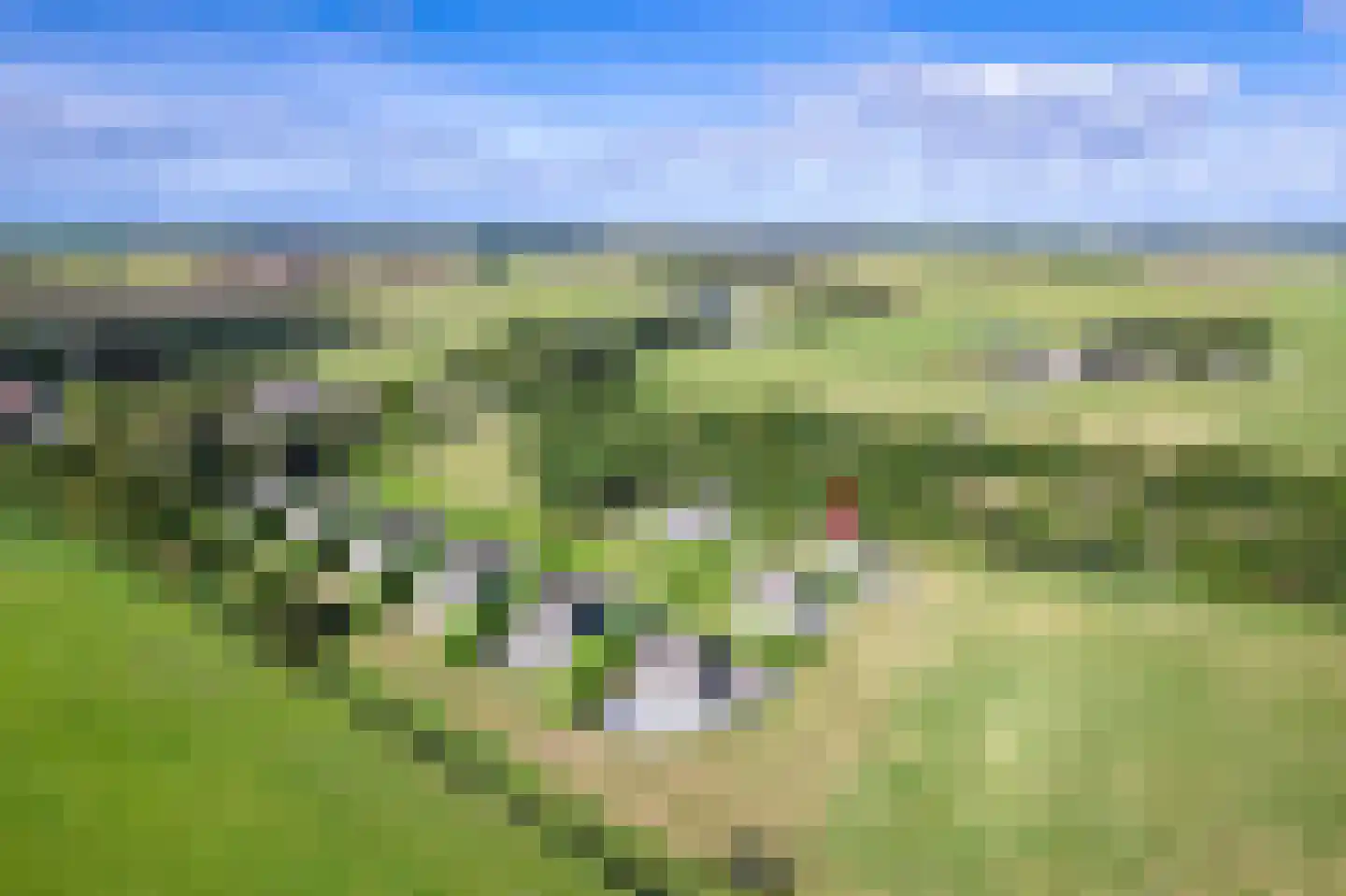 Waalderweg 112 A Den Burg thumbnail 41