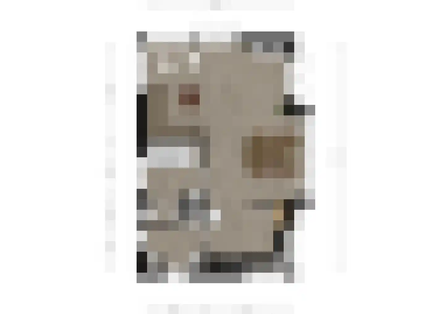 Waalderweg 112 A Den Burg thumbnail 45