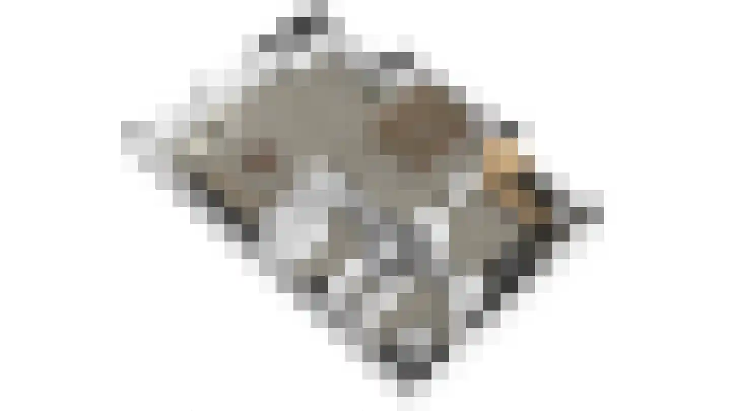 Waalderweg 112 A Den Burg thumbnail 47