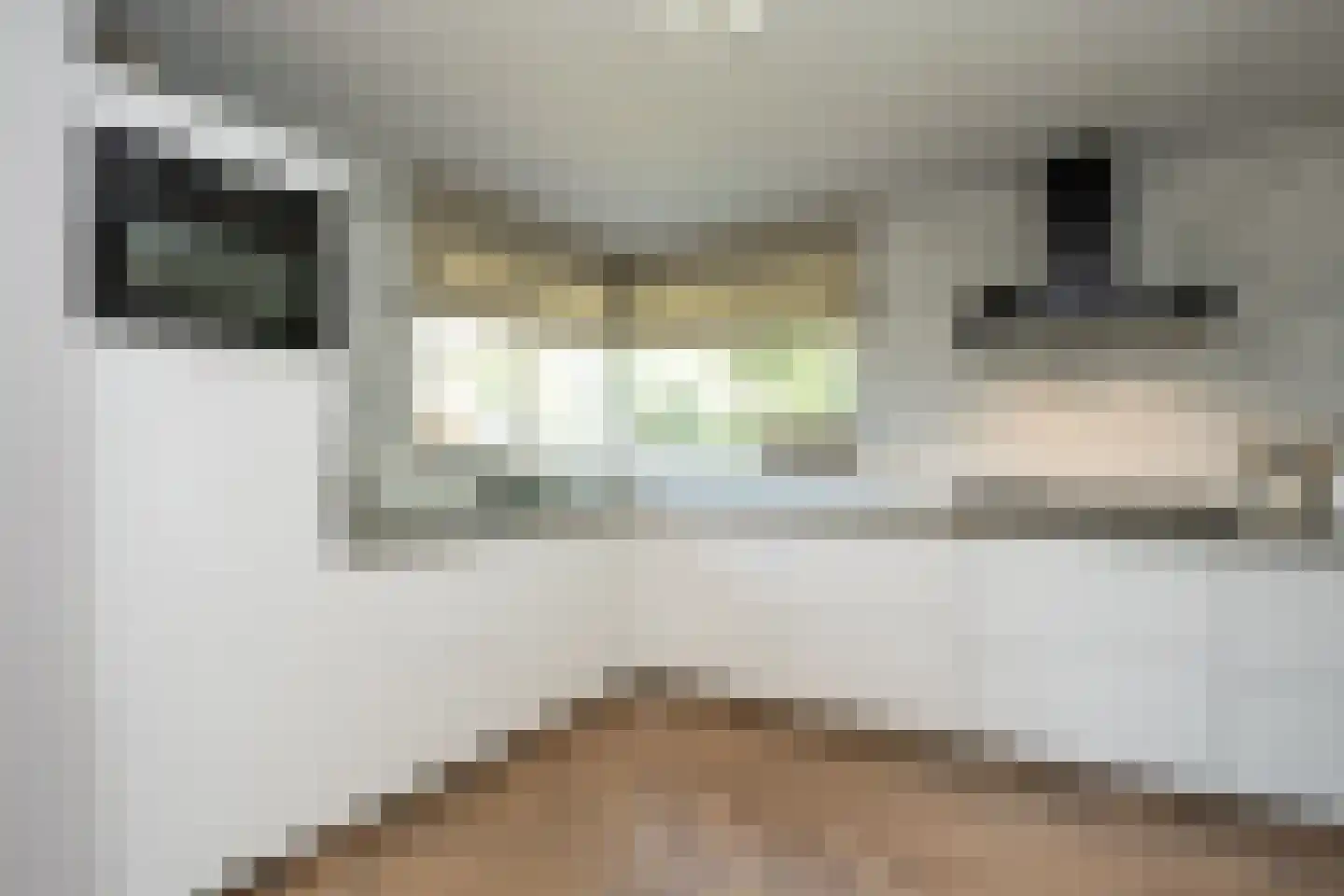 Waalderweg 114 Den Burg thumbnail 19