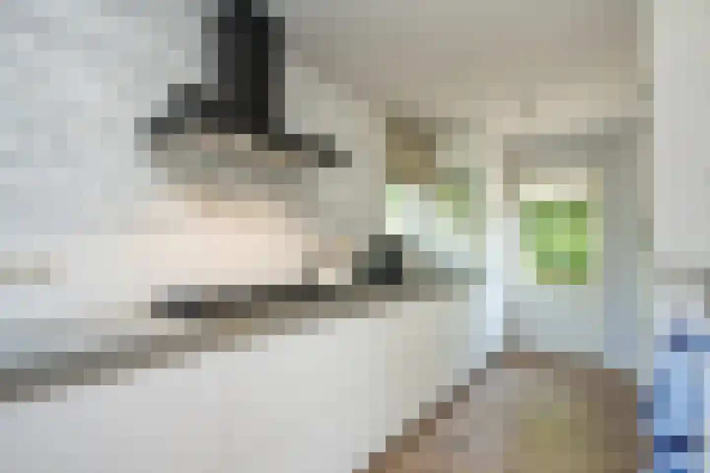 Waalderweg 114 Den Burg thumbnail 21