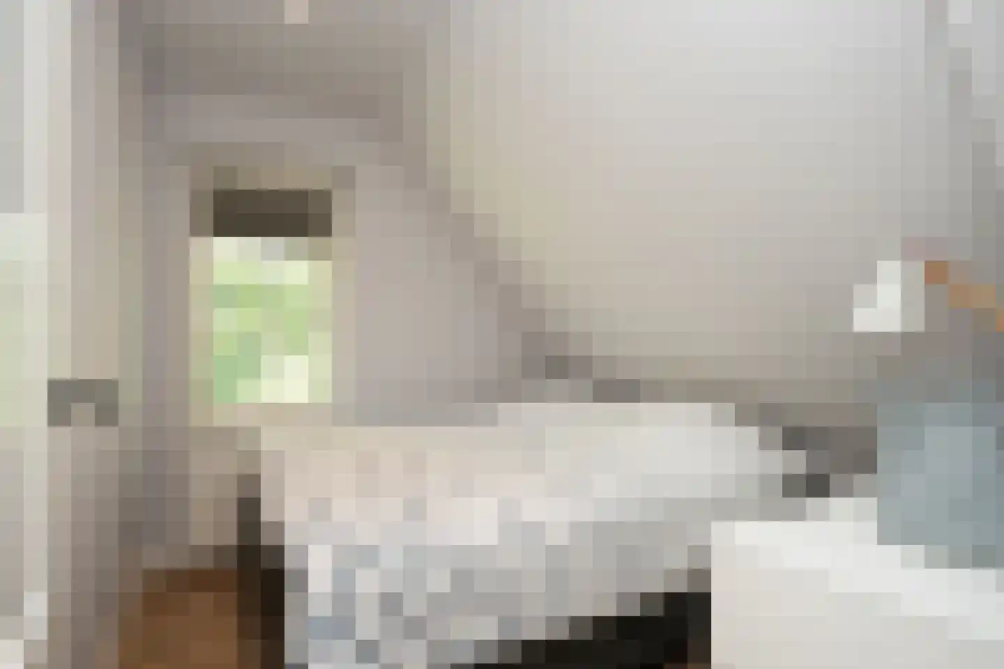 Waalderweg 114 Den Burg thumbnail 44