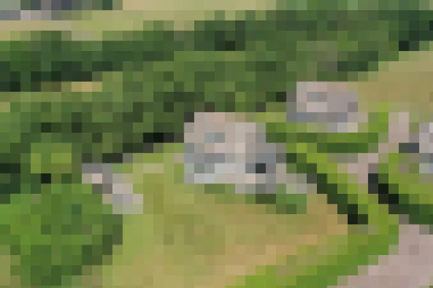 Waalderweg 114 Den Burg thumbnail 48