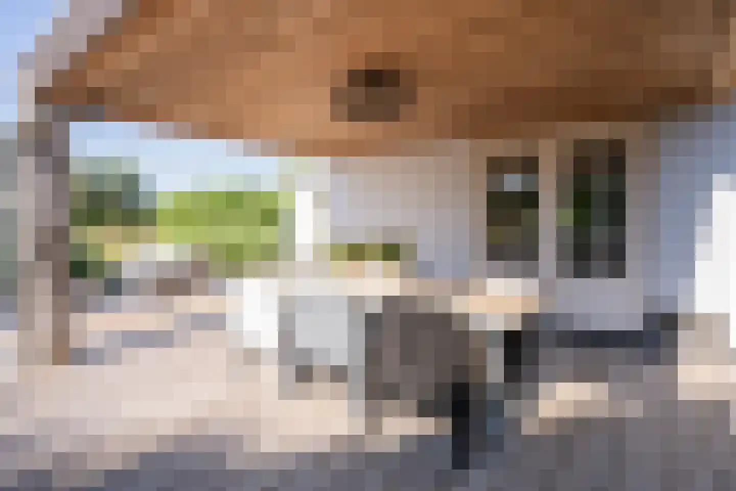 Waalderweg 114 Den Burg thumbnail 51