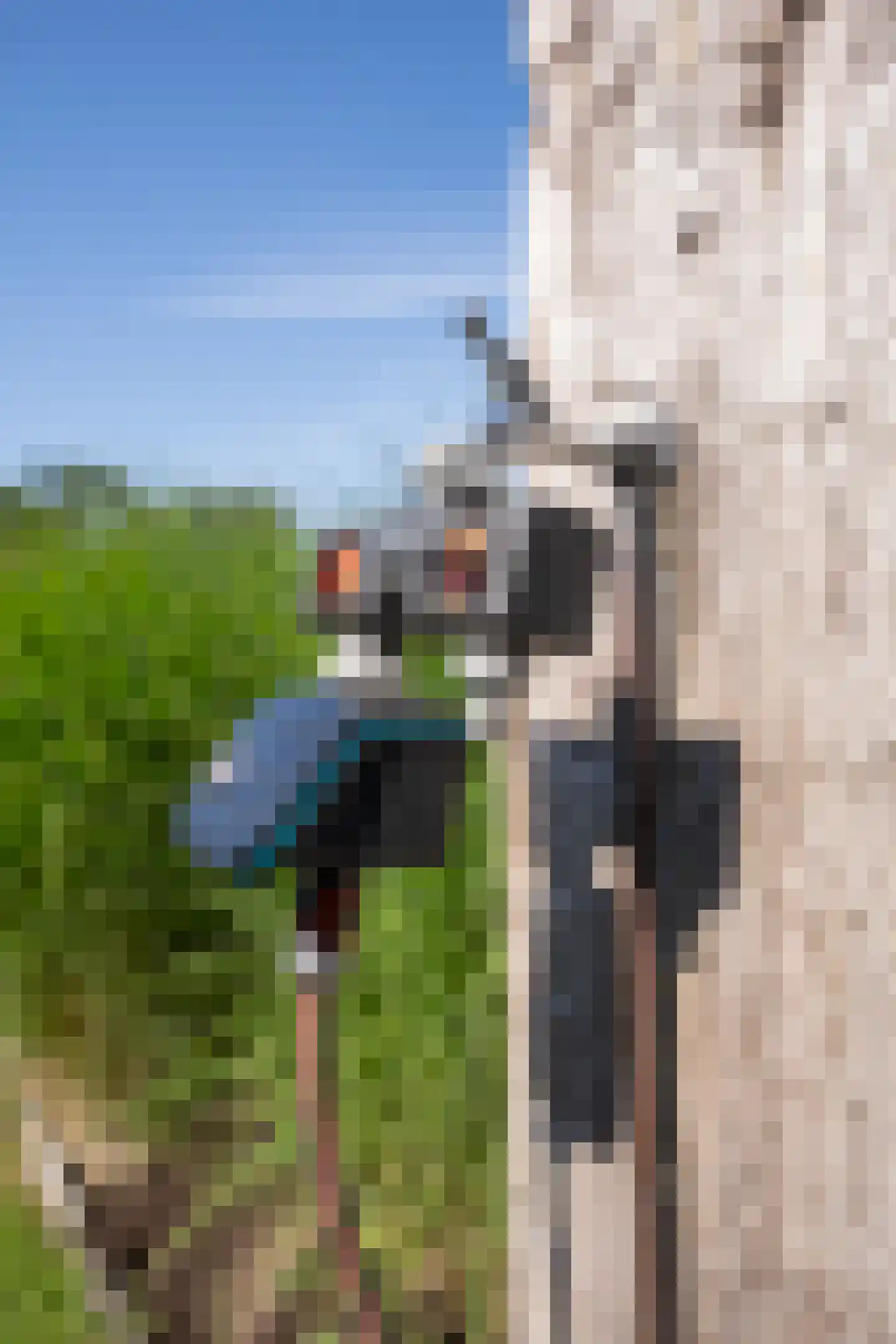 Waalderweg 114 Den Burg thumbnail 66