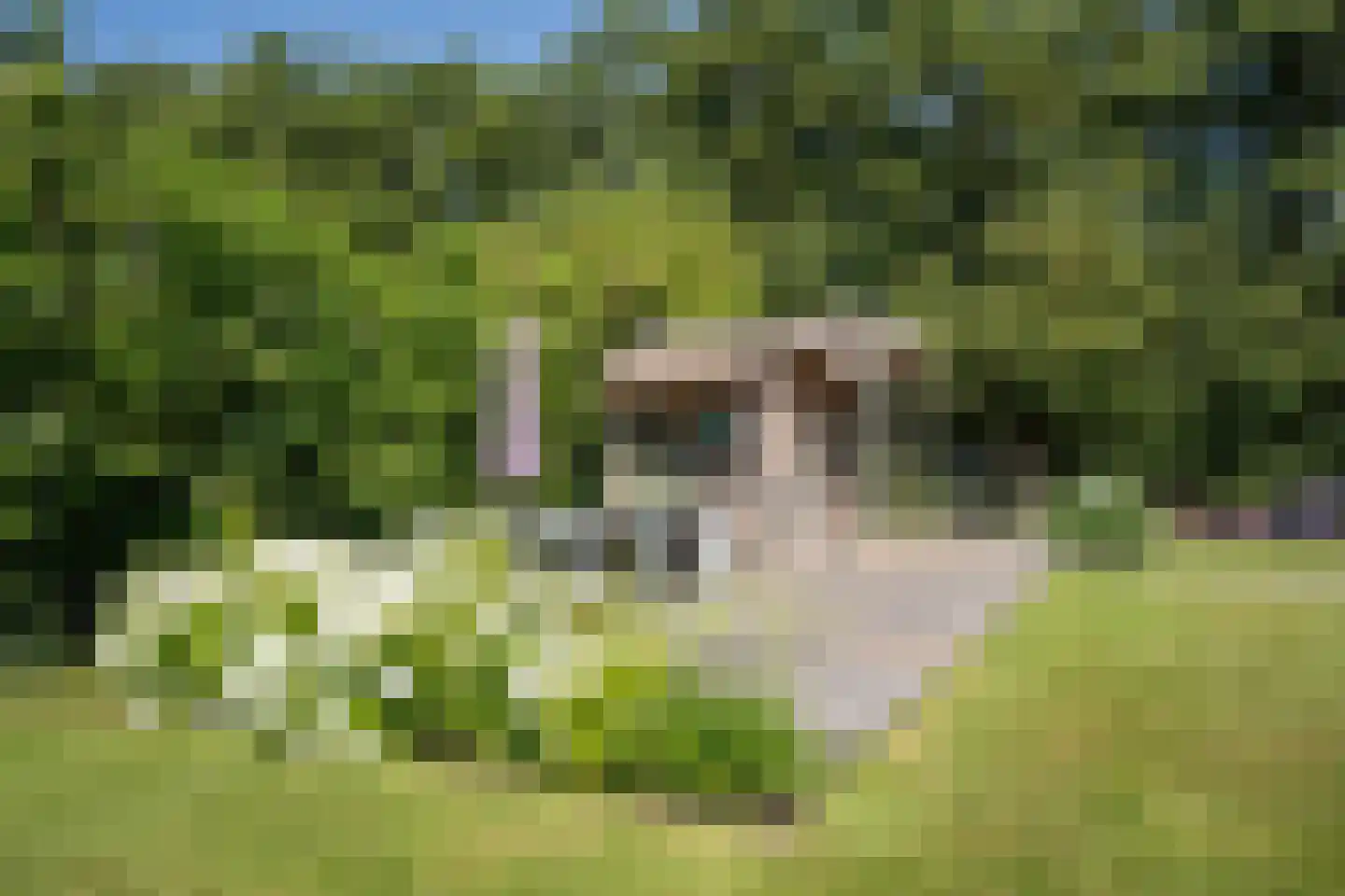 Waalderweg 114 Den Burg thumbnail 72