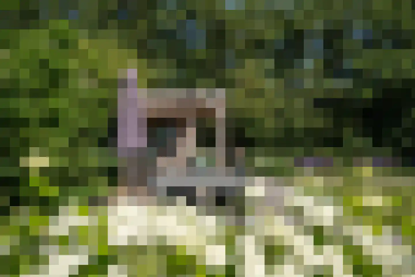 Waalderweg 114 Den Burg thumbnail 76