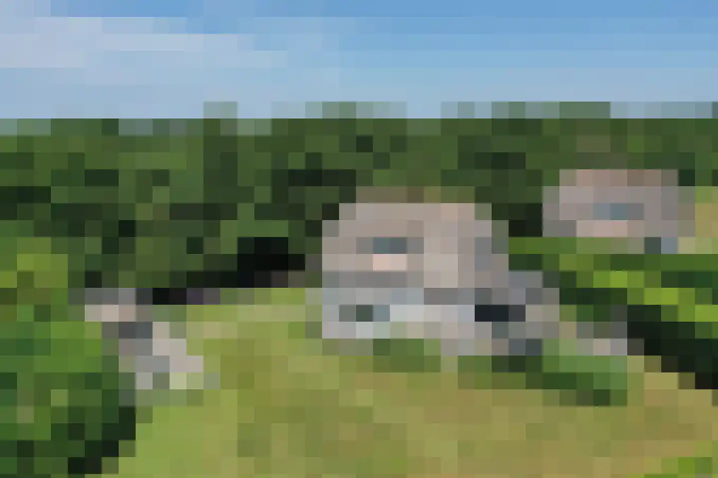 Waalderweg 114 Den Burg thumbnail 80