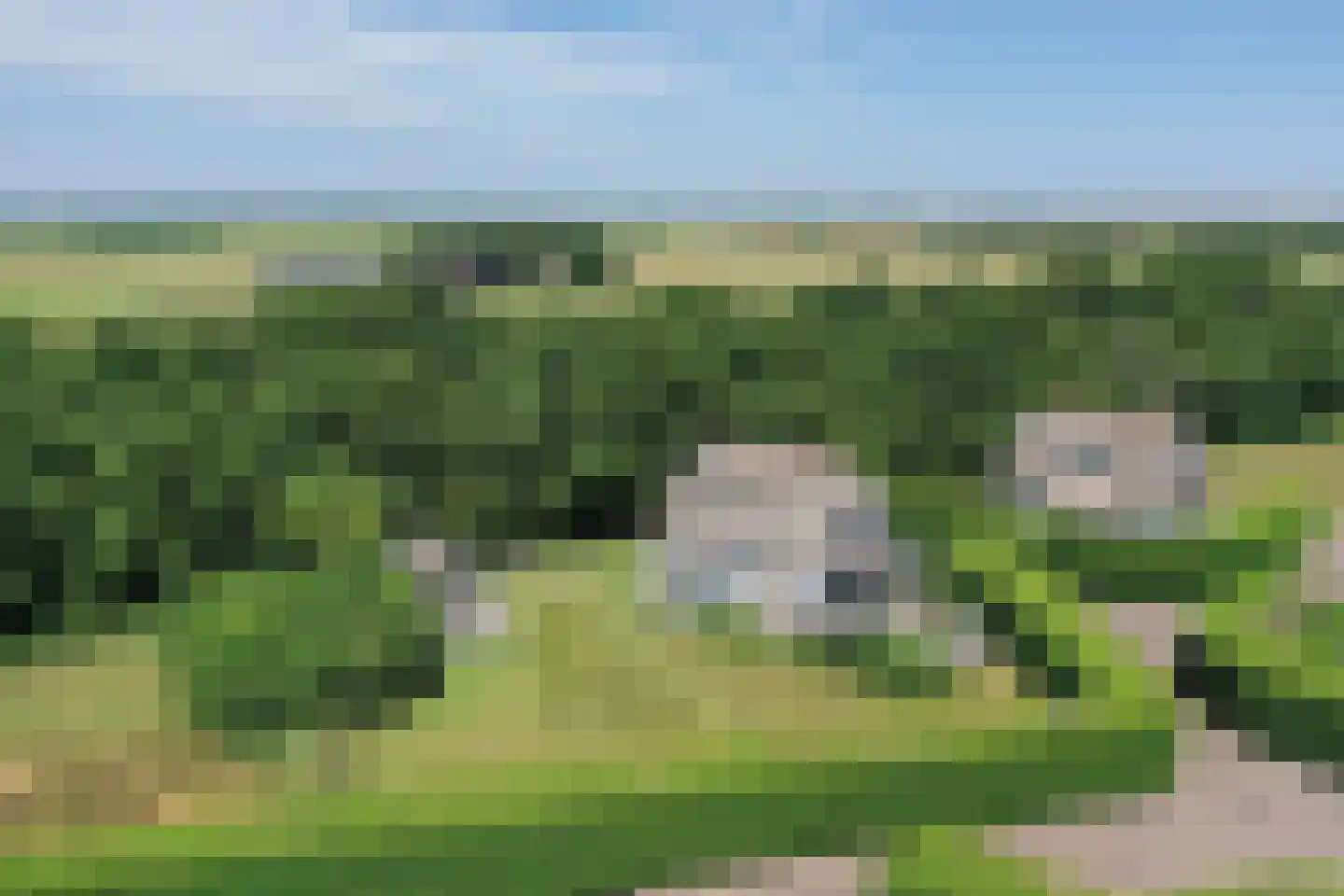 Waalderweg 114 Den Burg thumbnail 81