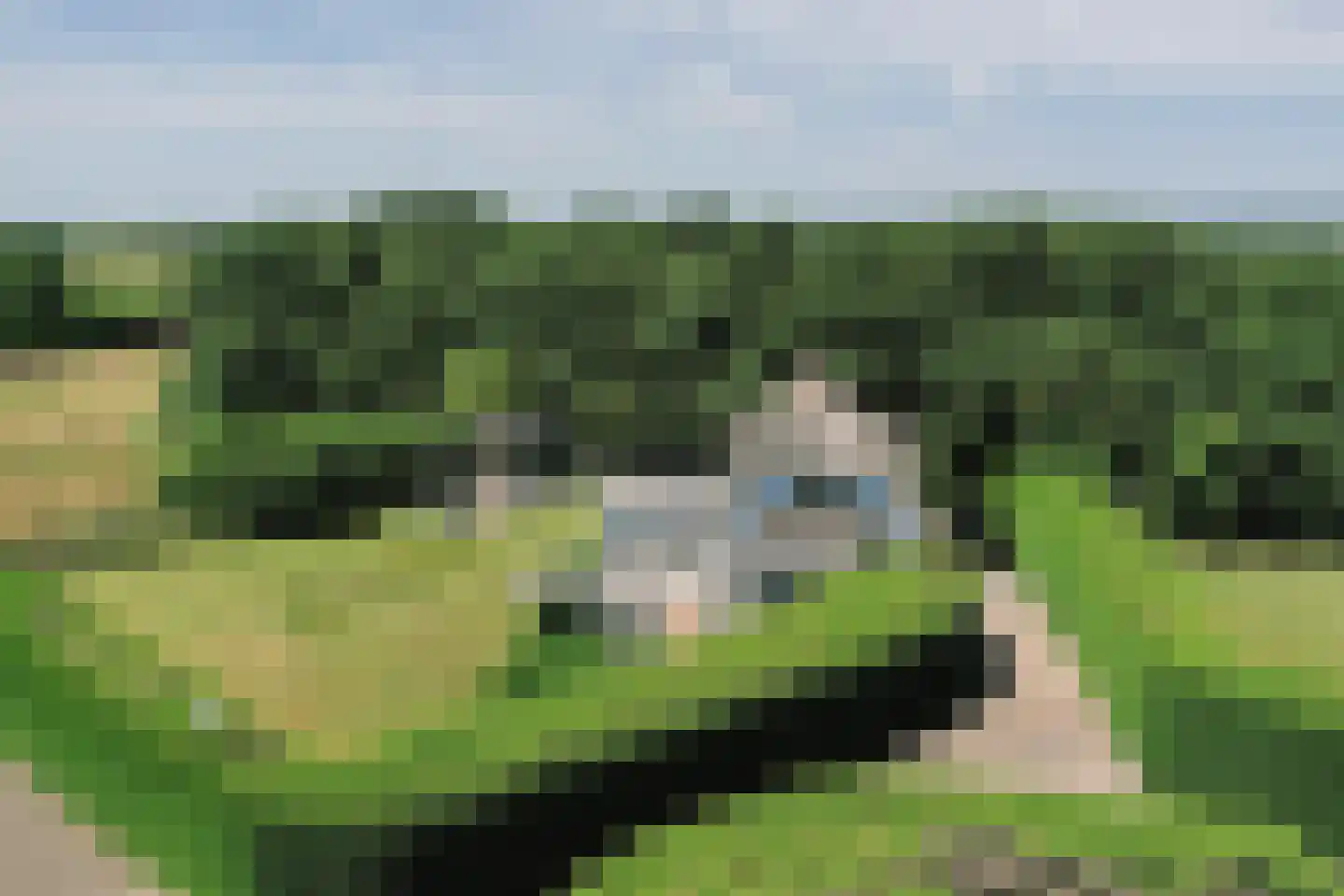 Waalderweg 114 Den Burg thumbnail 82