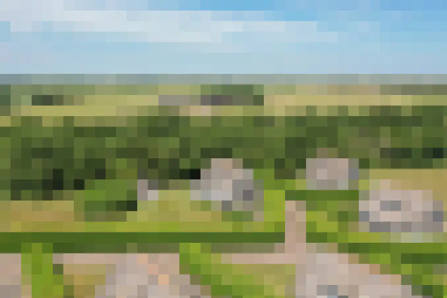 Waalderweg 114 Den Burg thumbnail 83