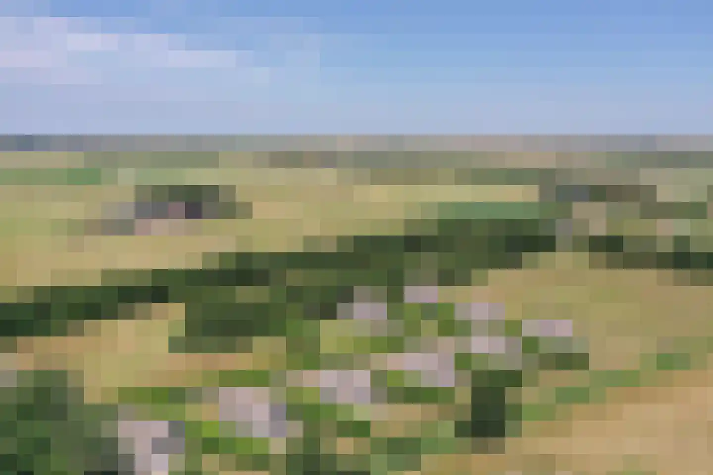 Waalderweg 114 Den Burg thumbnail 85