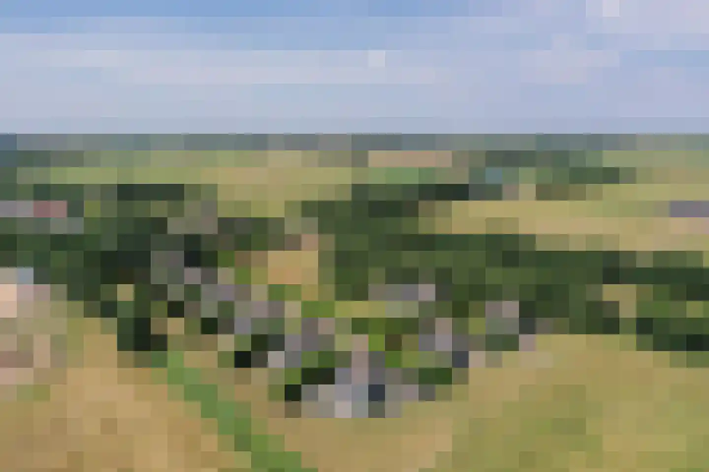 Waalderweg 114 Den Burg thumbnail 86