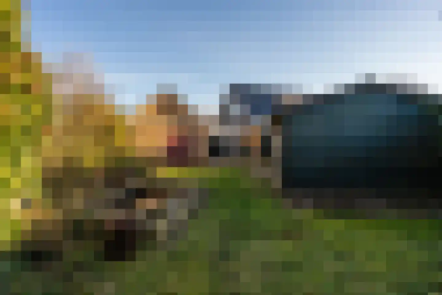 Waalderweg 119 Den Burg thumbnail 14
