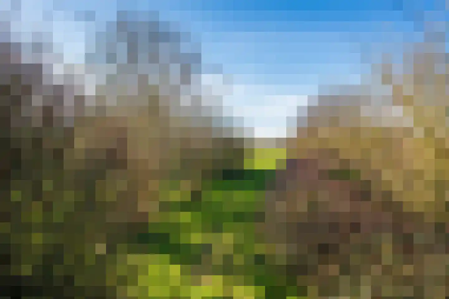 Waalderweg 119 Den Burg thumbnail 45
