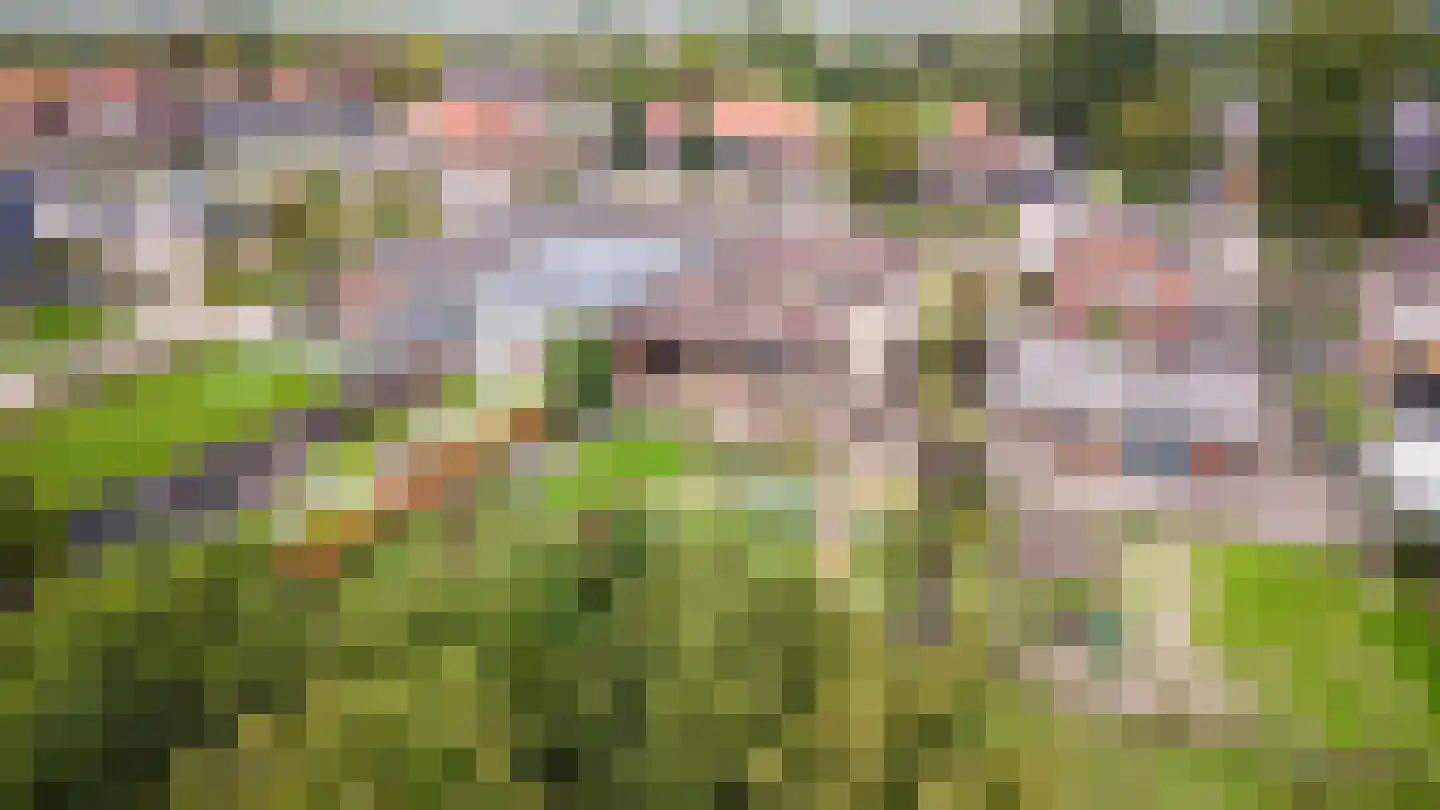 Waalderweg 13 a Mariënvelde thumbnail 4