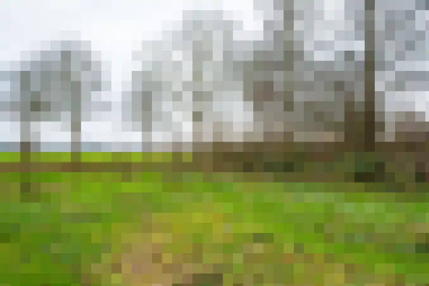 Waalderweg 40 Mariënvelde thumbnail 47