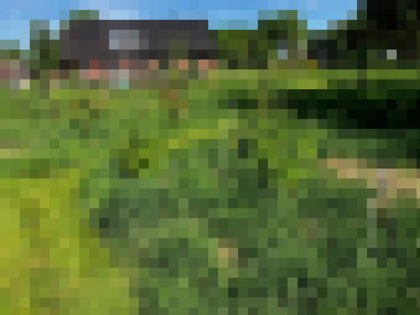 Waalderweg 40 Mariënvelde thumbnail 52