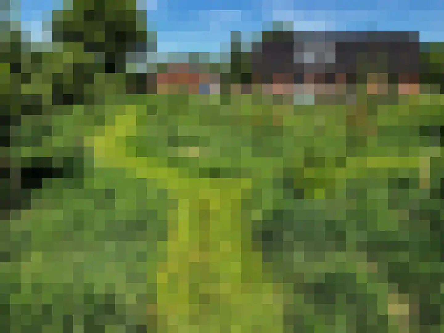 Waalderweg 40 Mariënvelde thumbnail 53