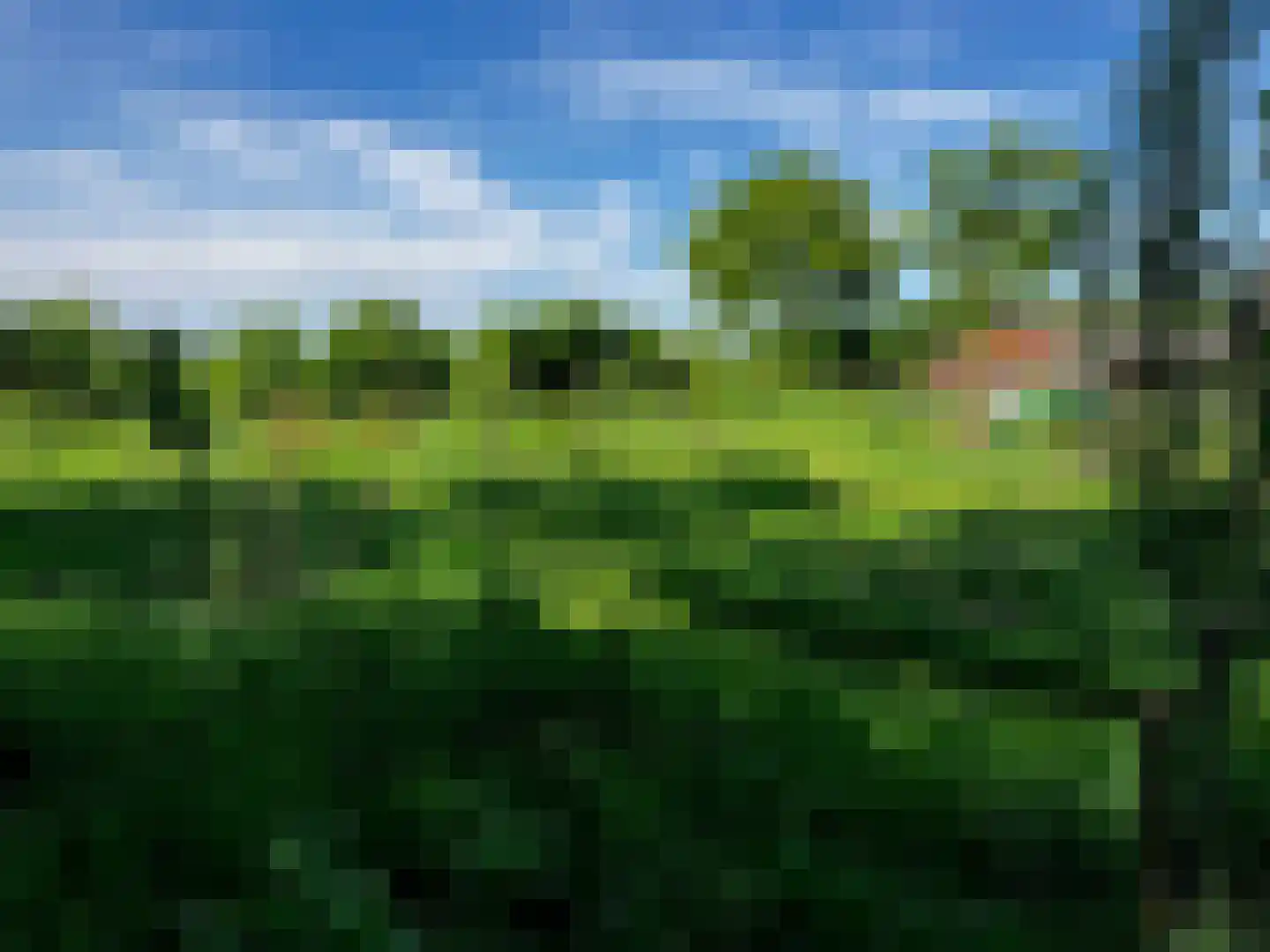Waalderweg 40 Mariënvelde thumbnail 54