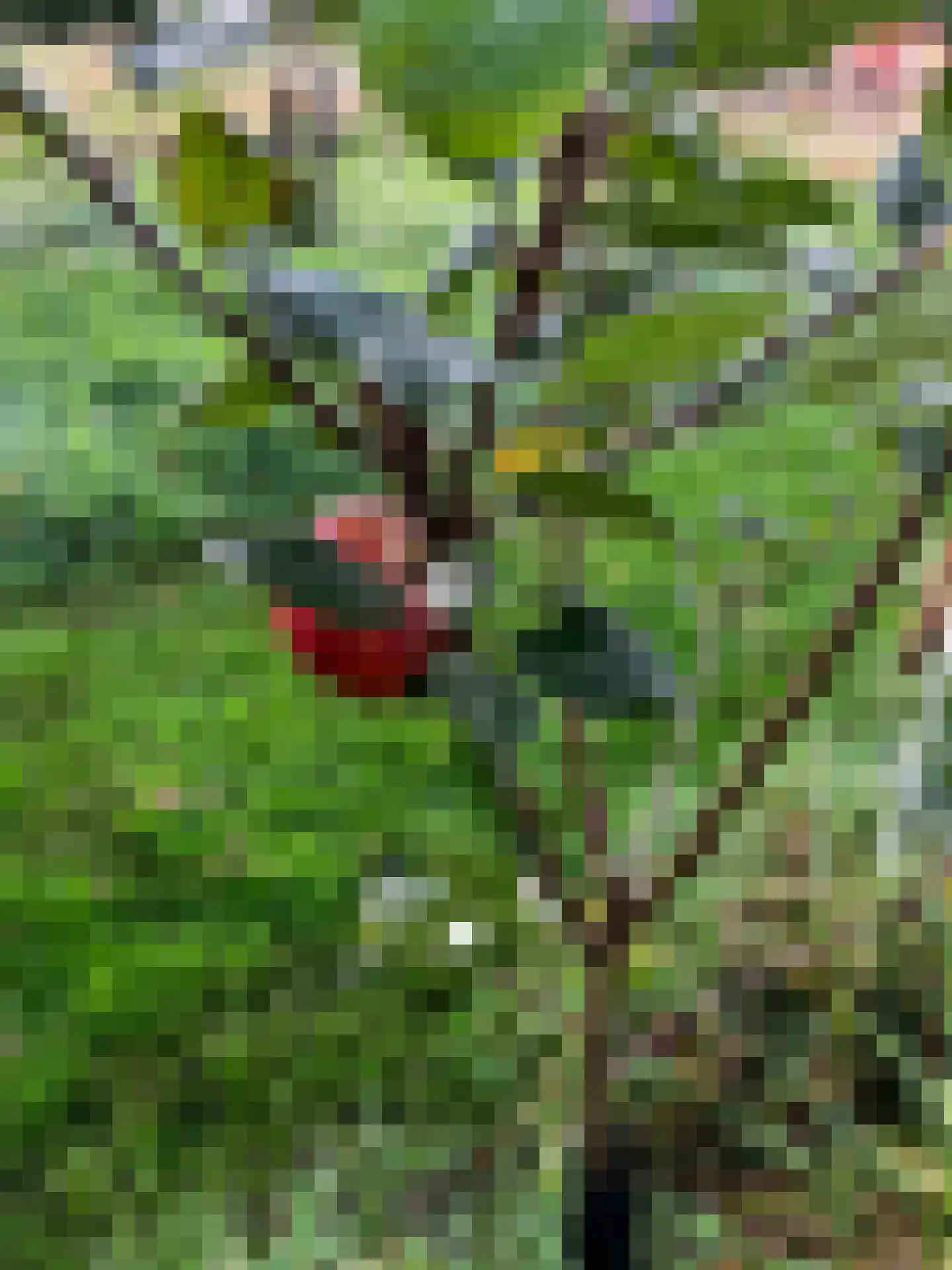 Waalderweg 40 Mariënvelde thumbnail 56