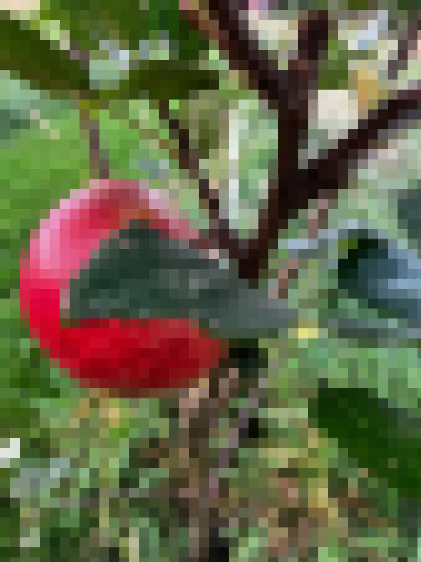 Waalderweg 40 Mariënvelde thumbnail 57