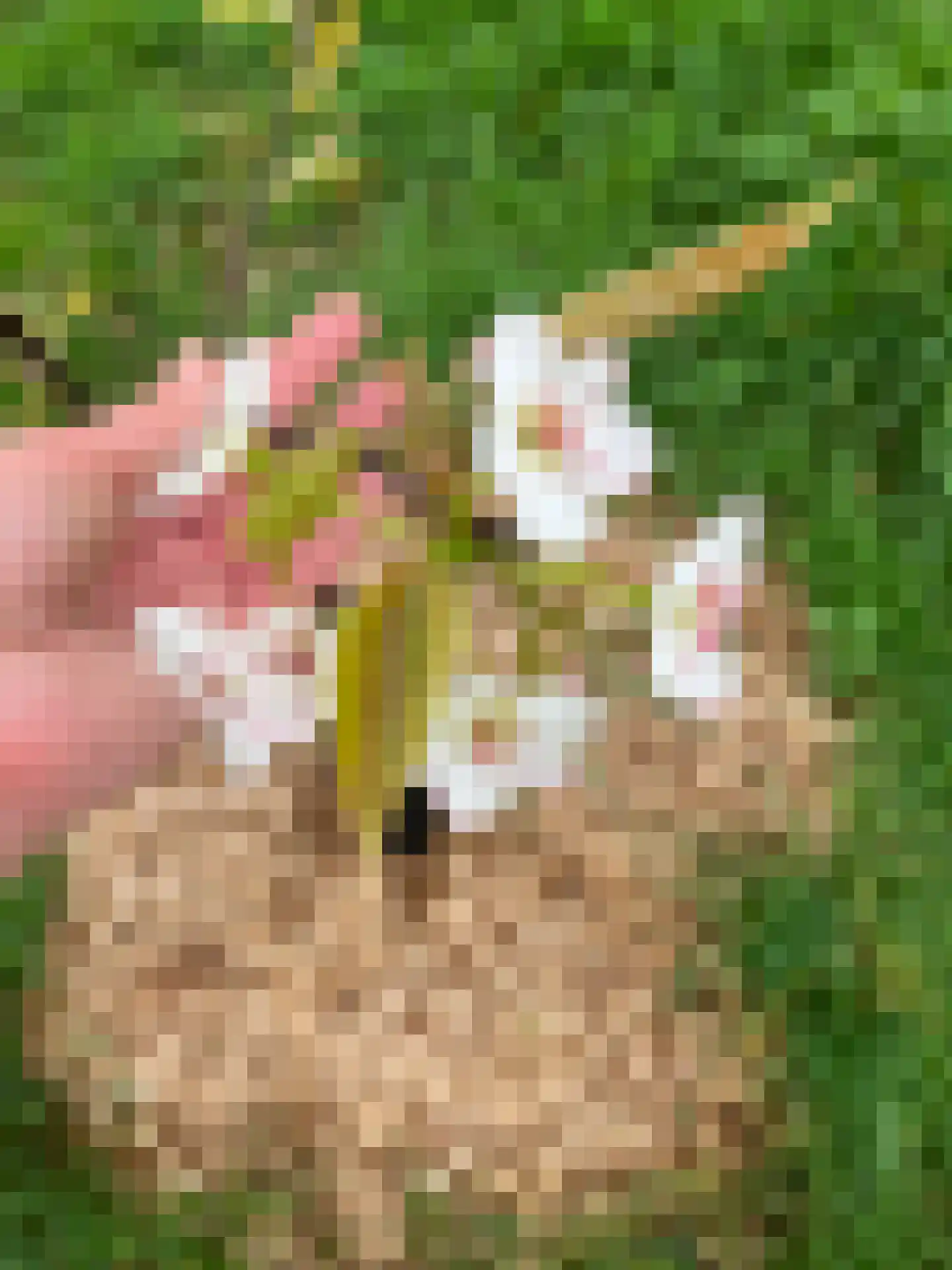 Waalderweg 40 Mariënvelde thumbnail 58