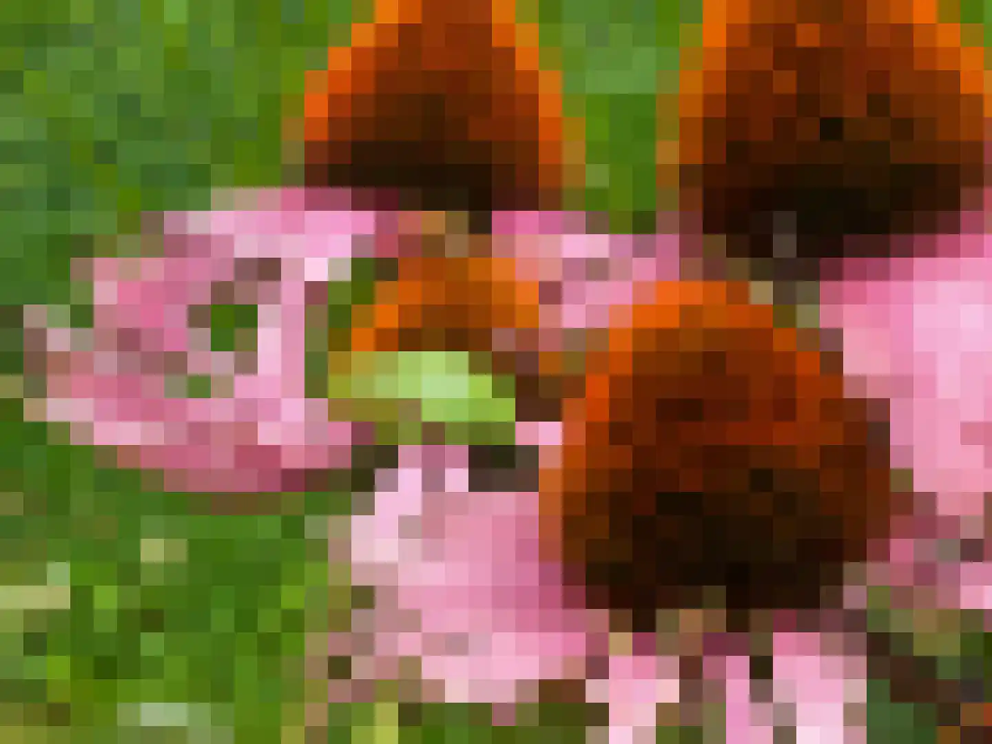 Waalderweg 40 Mariënvelde thumbnail 61