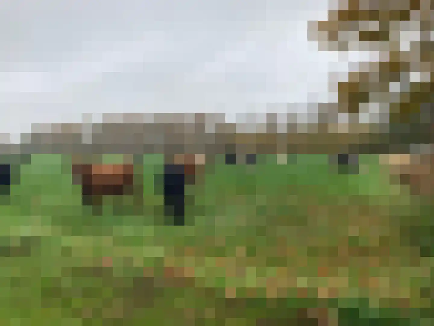 Waalderweg 40 Mariënvelde thumbnail 63