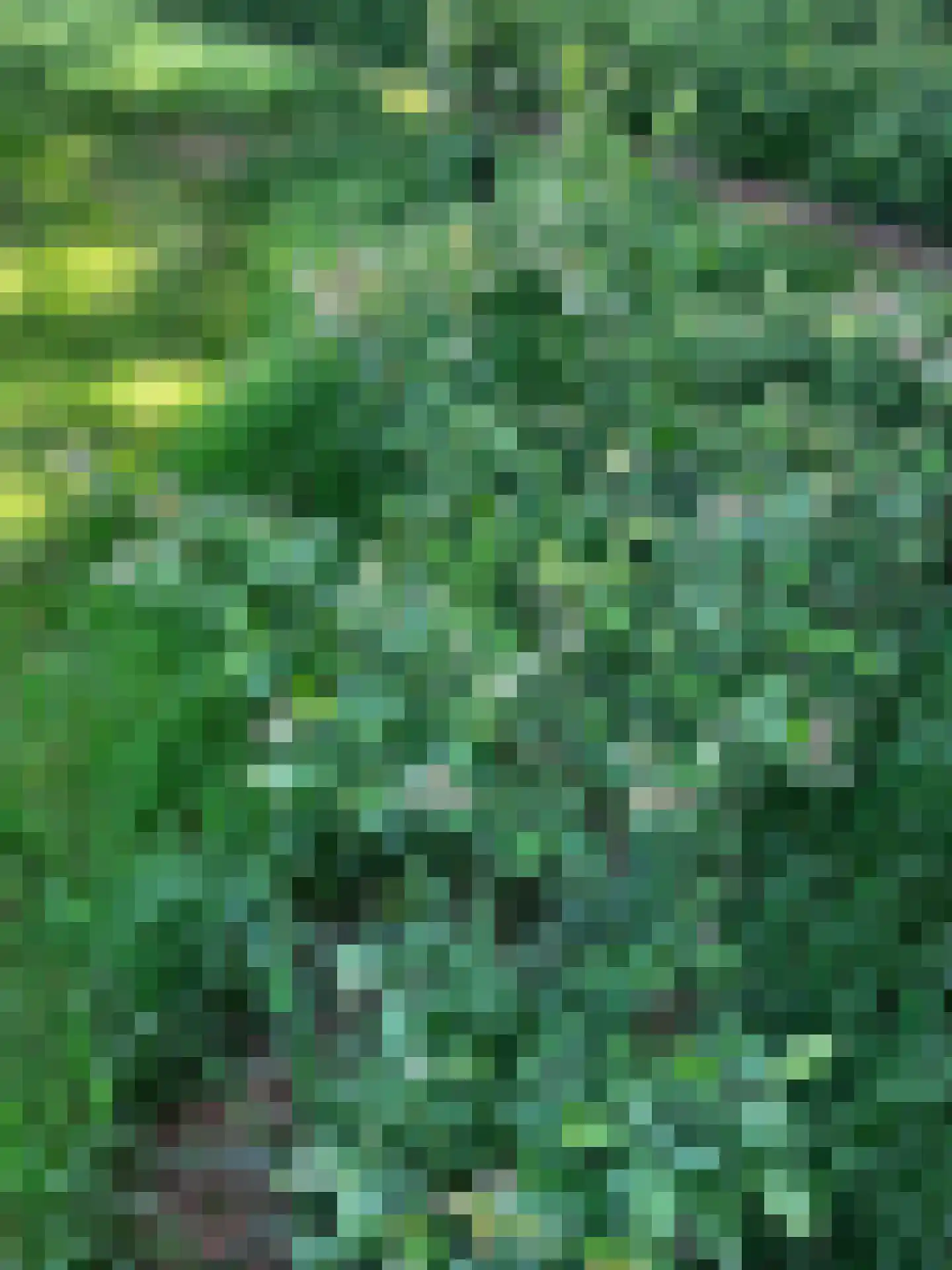Waalderweg 40 Mariënvelde thumbnail 64