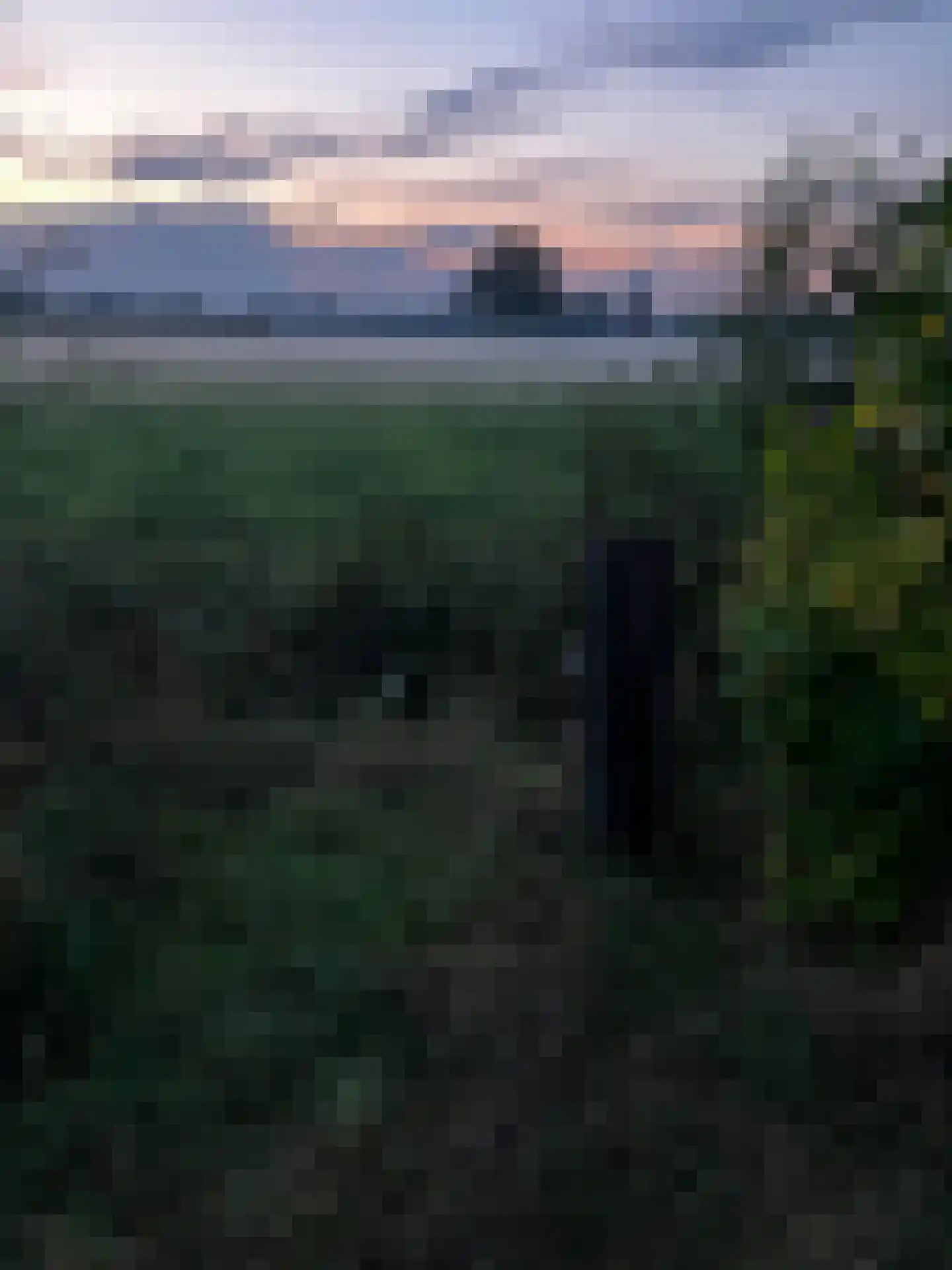Waalderweg 40 Mariënvelde thumbnail 66