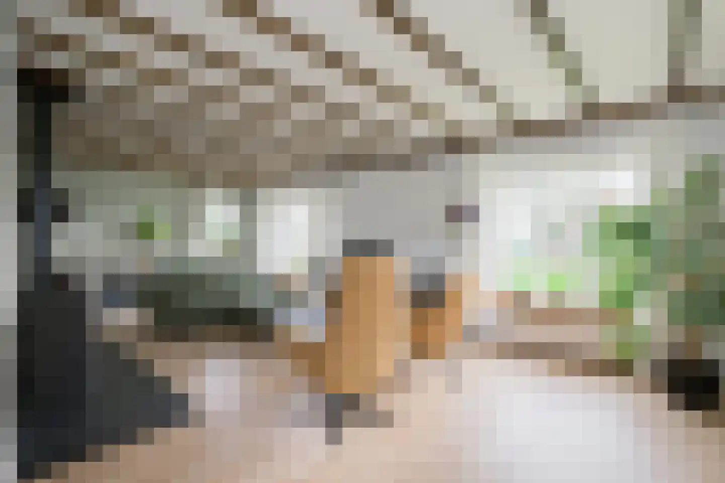 Waalderweg 40 Mariënvelde thumbnail 7