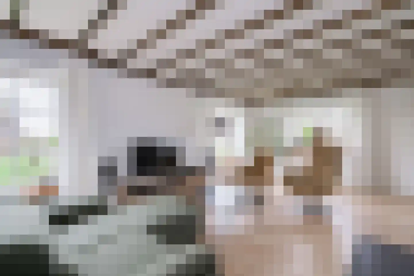 Waalderweg 40 Mariënvelde thumbnail 9