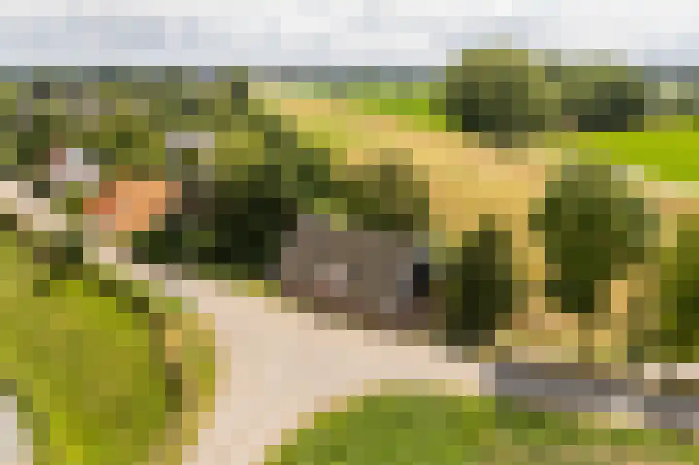 Waaldijk 10 Herwijnen