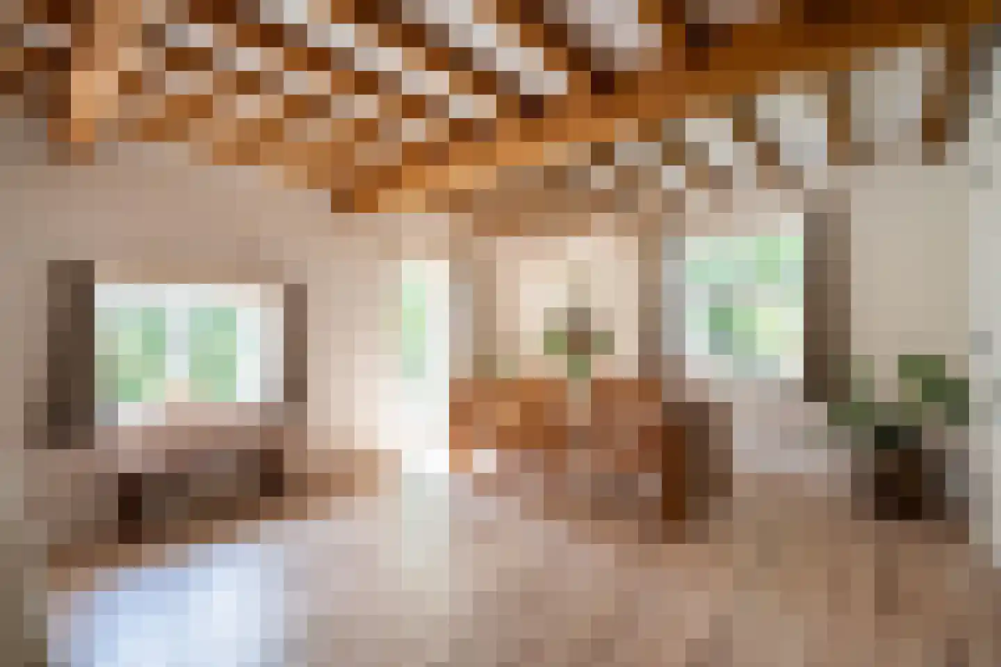 Waaldijk 10 Herwijnen thumbnail 14