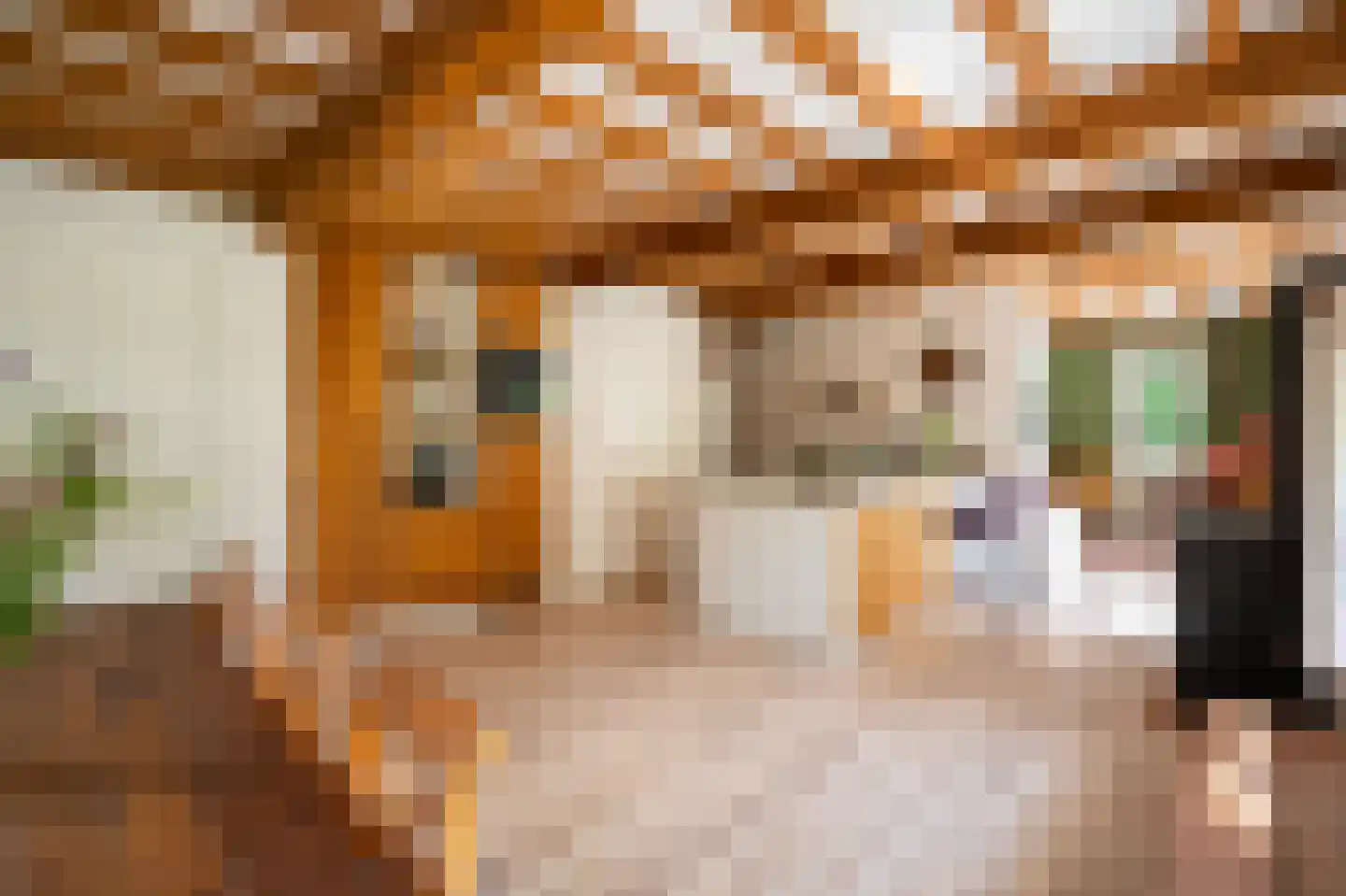 Waaldijk 10 Herwijnen thumbnail 15