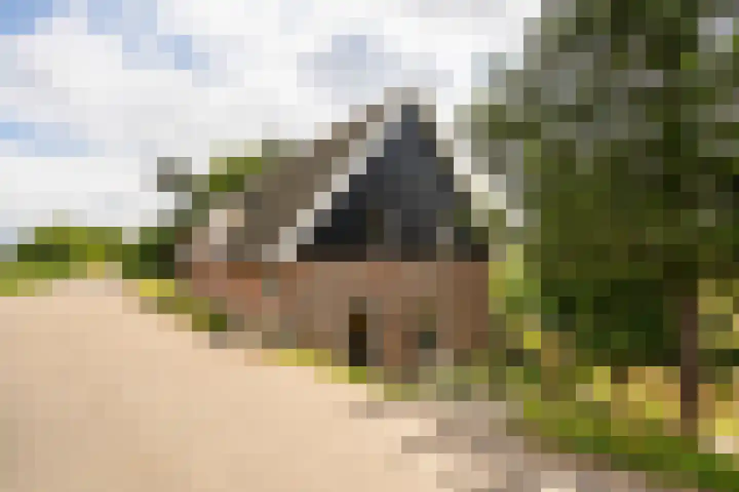 Waaldijk 10 Herwijnen foto 2