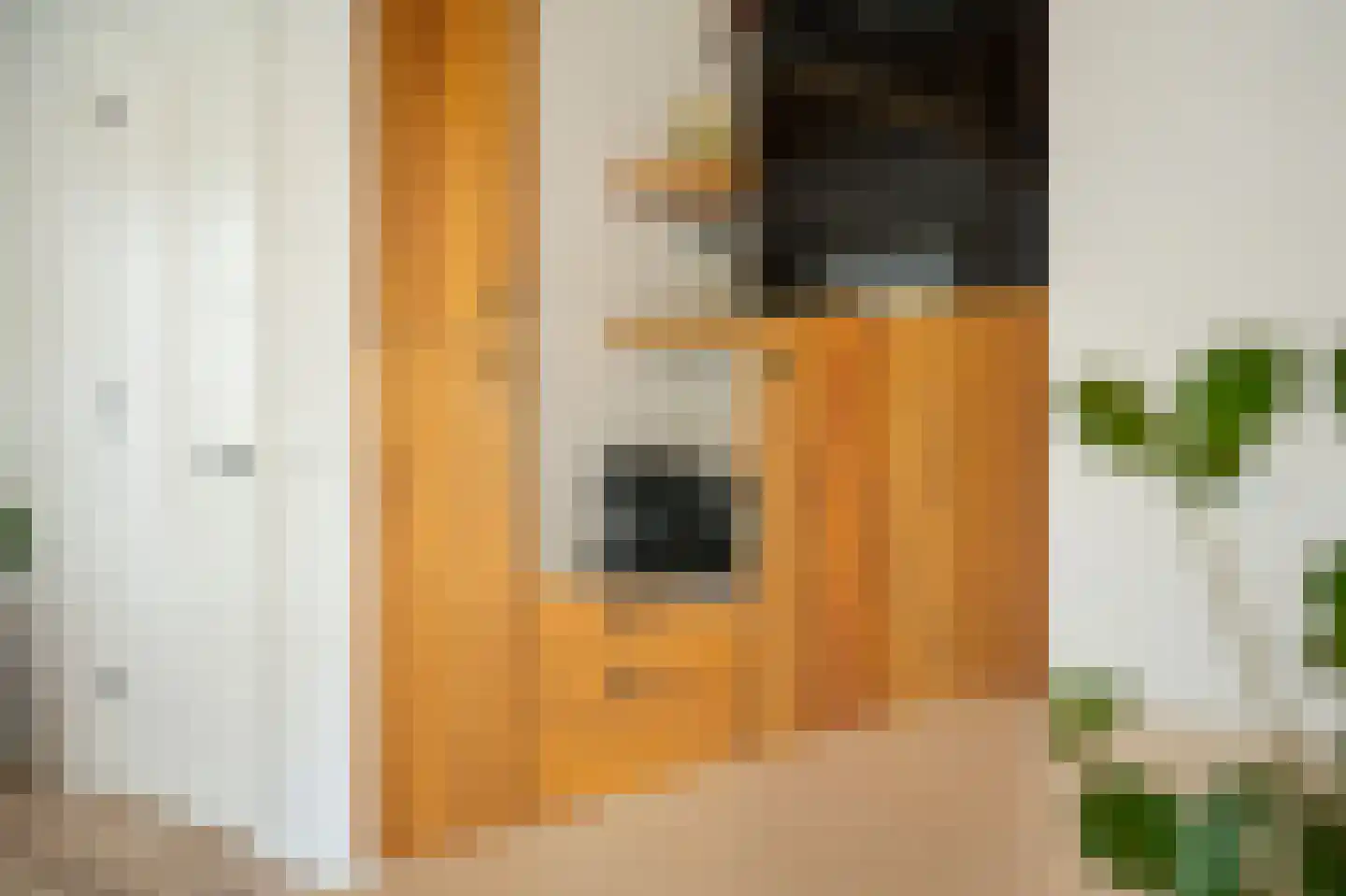 Waaldijk 10 Herwijnen thumbnail 20