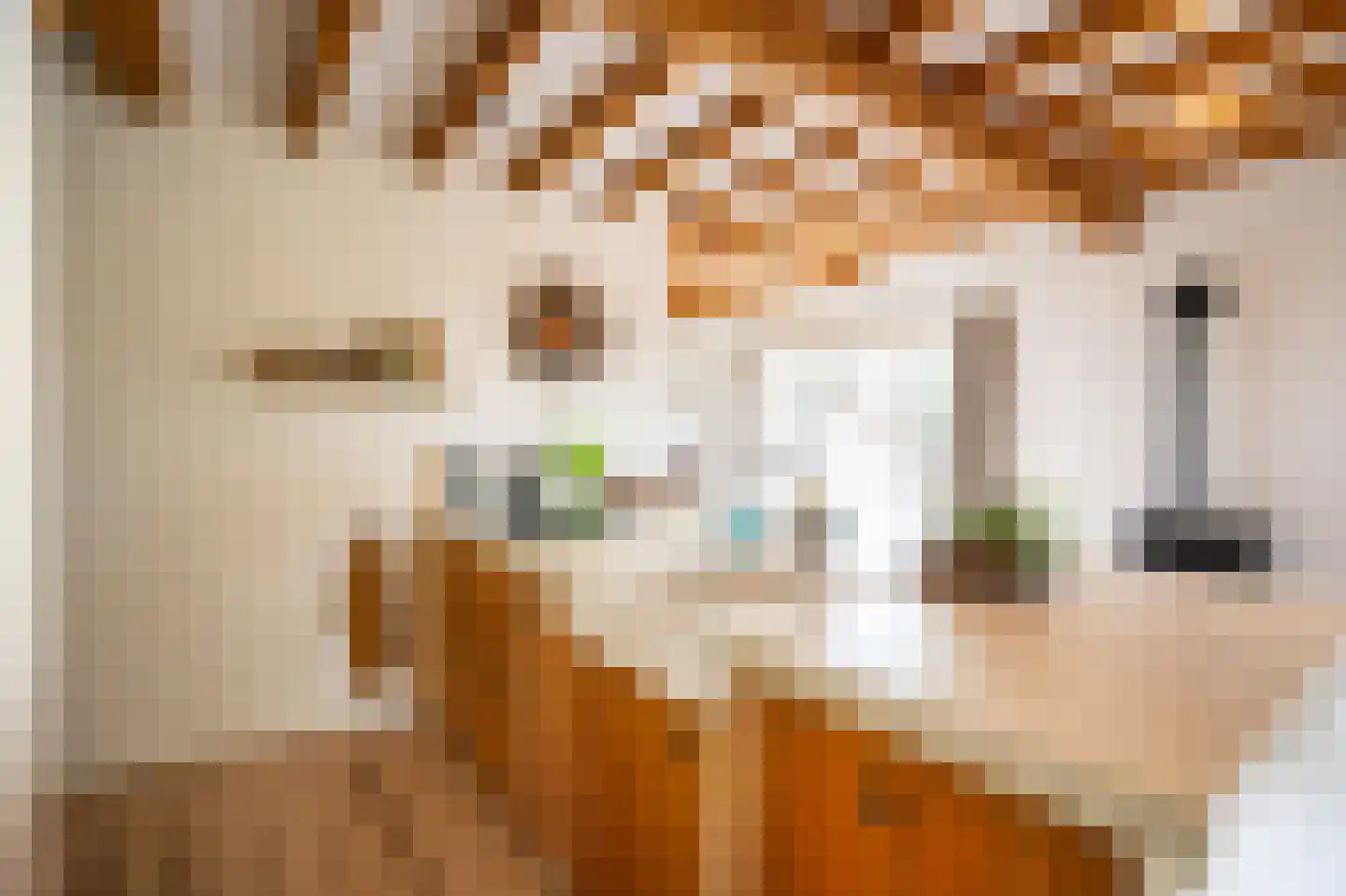 Waaldijk 10 Herwijnen thumbnail 22