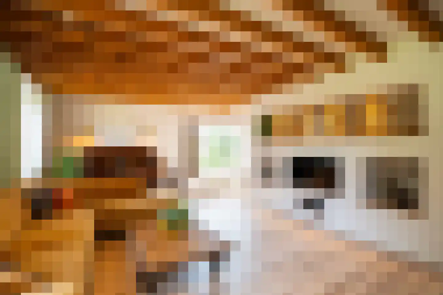 Waaldijk 10 Herwijnen thumbnail 26