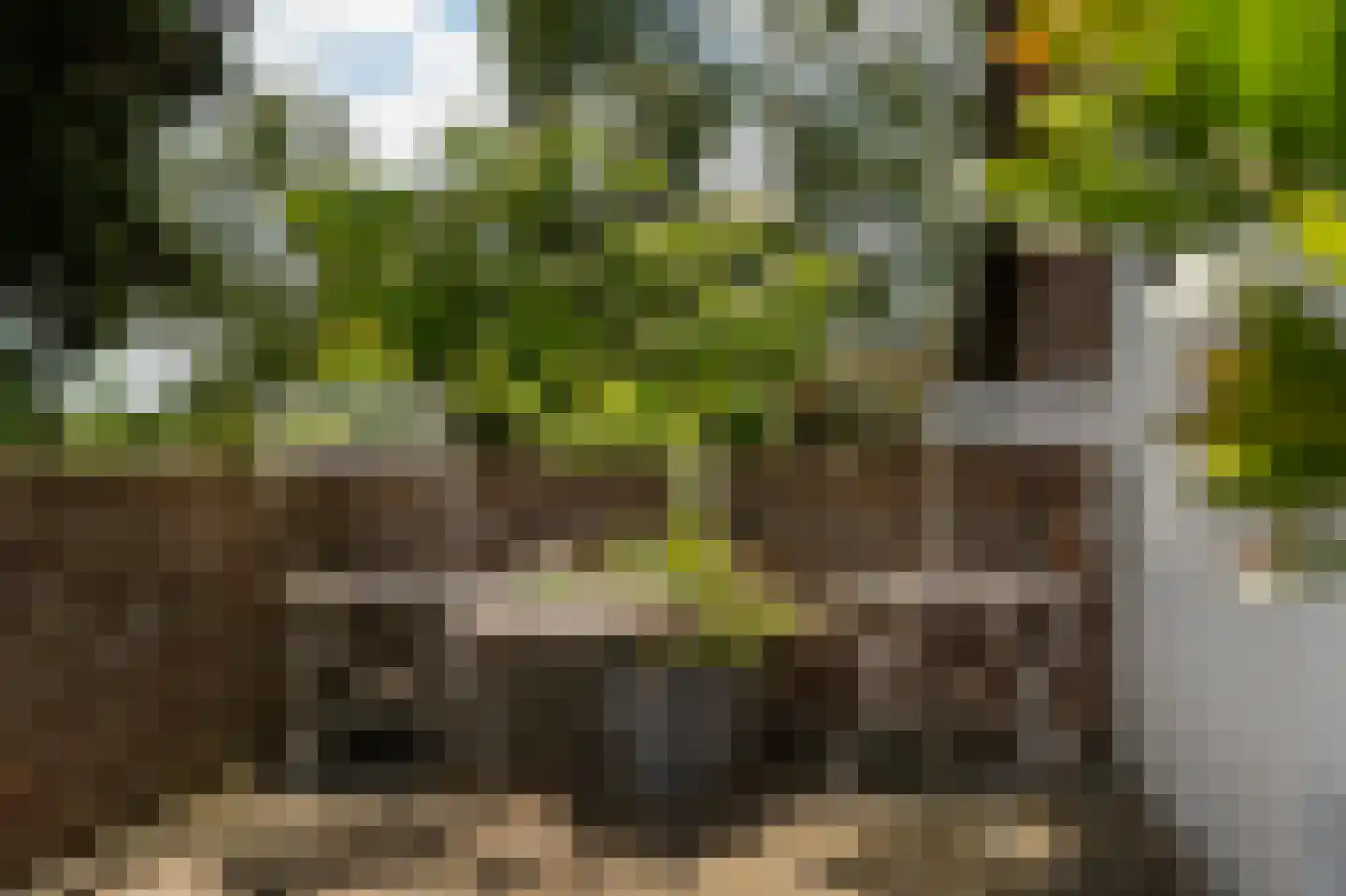 Waaldijk 10 Herwijnen thumbnail 31